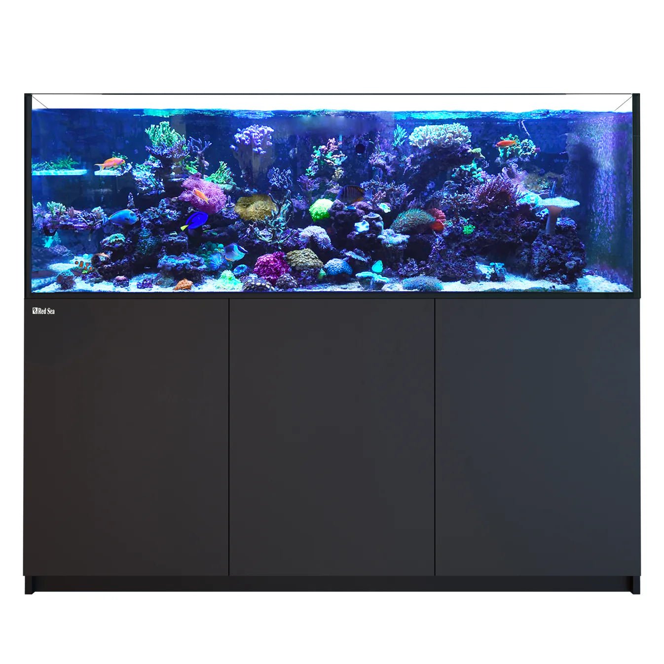 Red Sea Reefer G3 750 Aquarium - Perfect Aquatics Ltd