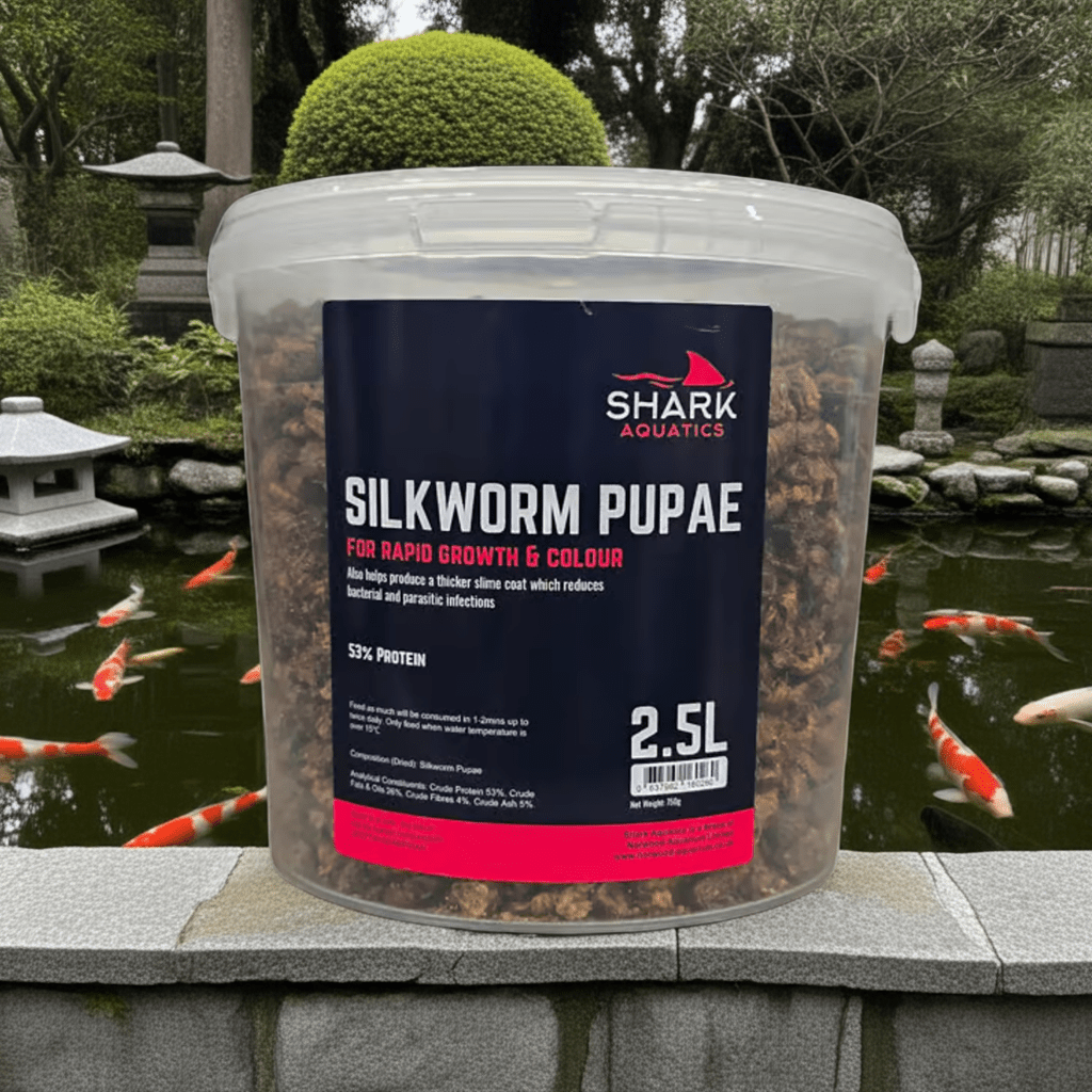 Shark Pond Food - Silkworm Pupae - Perfect Aquatics Ltd
