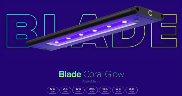AI Blade Coral Glow LED