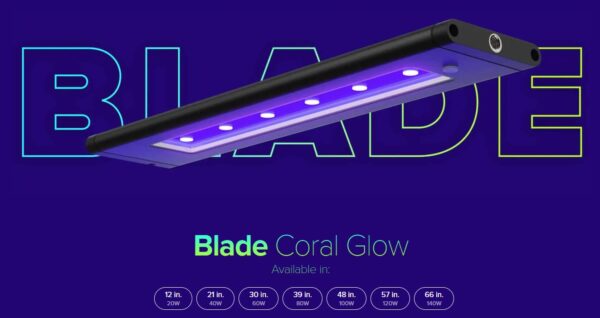 AI Blade Coral Glow LED - Perfect Aquatics Ltd