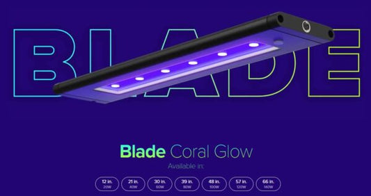 AI Blade Coral Glow LED - Perfect Aquatics Ltd