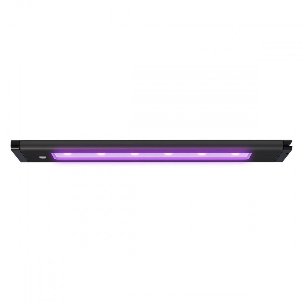 AI Blade Coral Glow LED - Perfect Aquatics Ltd