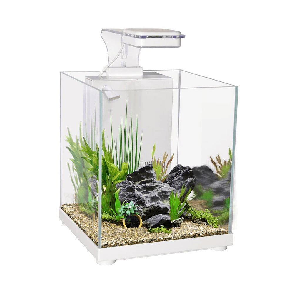 Aqua One Betta Sanctuary Aquarium 10L - Perfect Aquatics Ltd