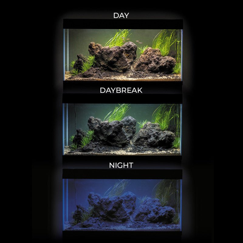 Aquael Ultrascape 90 Aquarium and Cabinet Set - Perfect Aquatics Ltd