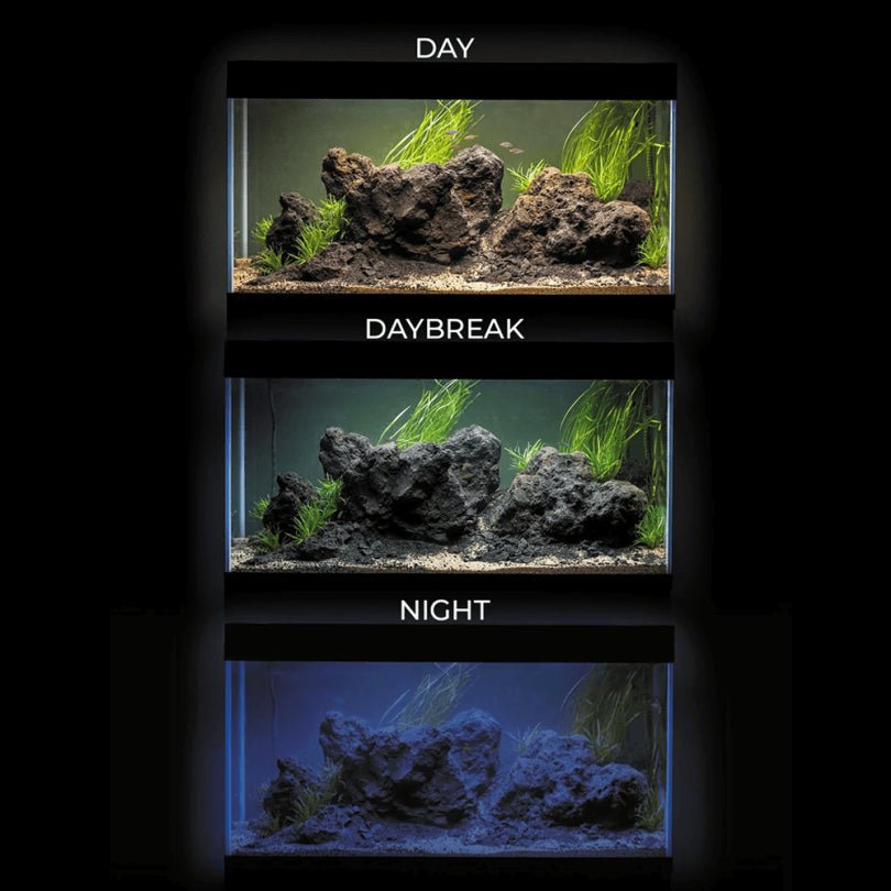 AquaEl Optiset Aquarium and Cabinet - Perfect Aquatics Ltd