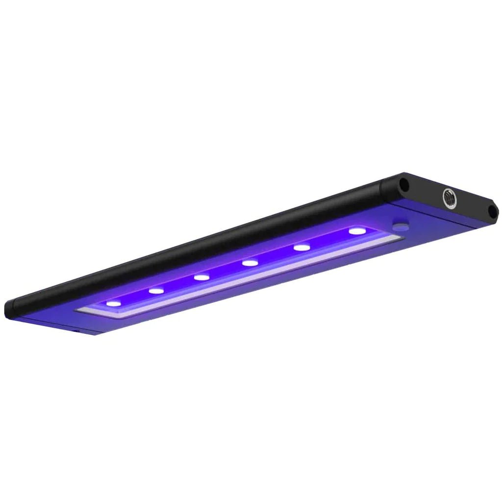 AI Blade Coral Glow LED - Perfect Aquatics Ltd