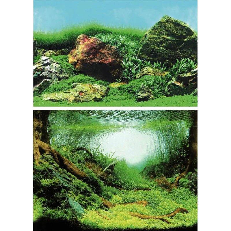 Superfish Deco Poster C Aquarium Background - Perfect Aquatics Ltd