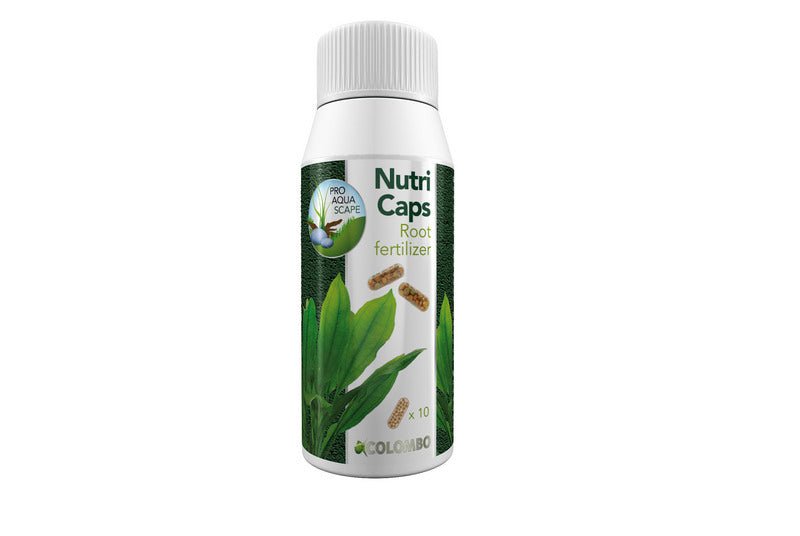 Colombo Nutri Caps Root Fertilizer - Perfect Aquatics Ltd