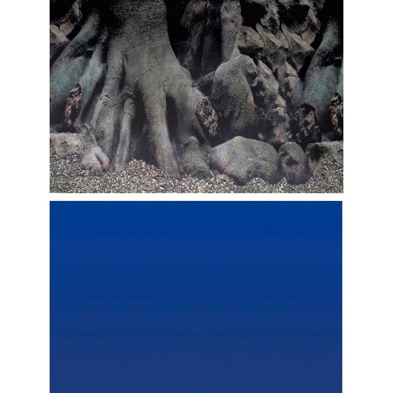 Superfish Deco Poster D Aquarium Background - Perfect Aquatics Ltd