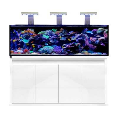 D - D Reef - Pro 1800 Aquarium - Clarisea Ready Sump - Perfect Aquatics Ltd