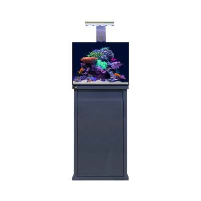 D - D Reef - Pro 600 Aquarium - Clarisea Ready Sump - Perfect Aquatics Ltd