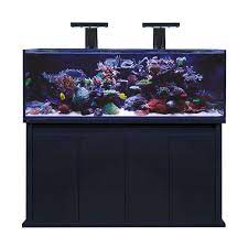D - D Reef - Pro 1500S Aquarium - Clarisea Ready Sump - Perfect Aquatics Ltd