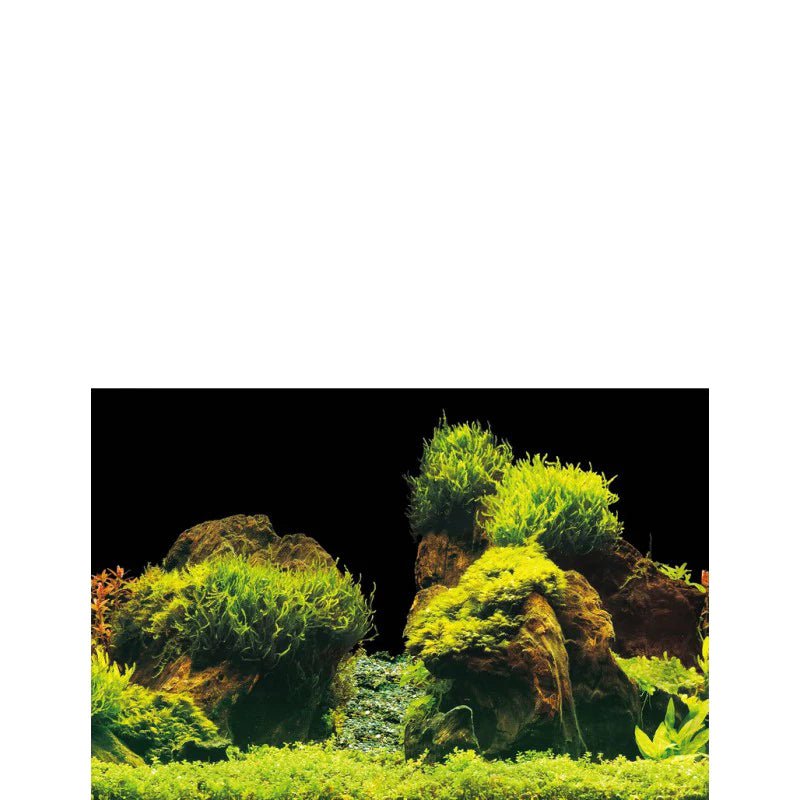 Superfish Deco Poster E Aquarium Background - Perfect Aquatics Ltd
