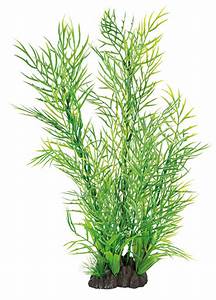 SuperFish Art Plant 40cm Ceratopteris - Perfect Aquatics Ltd