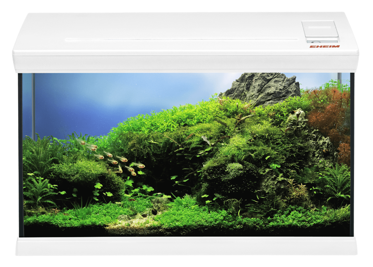 EHEIM Aquafamily Aquarium - Perfect Aquatics Ltd