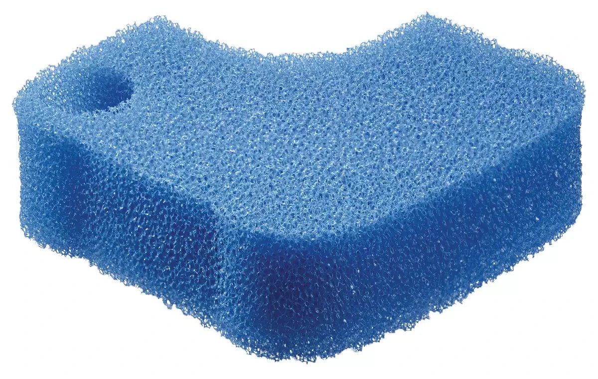 Oase BioMaster Foam - Perfect Aquatics Ltd