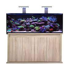 D - D Reef - Pro 1500S Aquarium - Clarisea Ready Sump - Perfect Aquatics Ltd