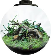 Superfish BioArt Bowl 225 Black - Perfect Aquatics Ltd