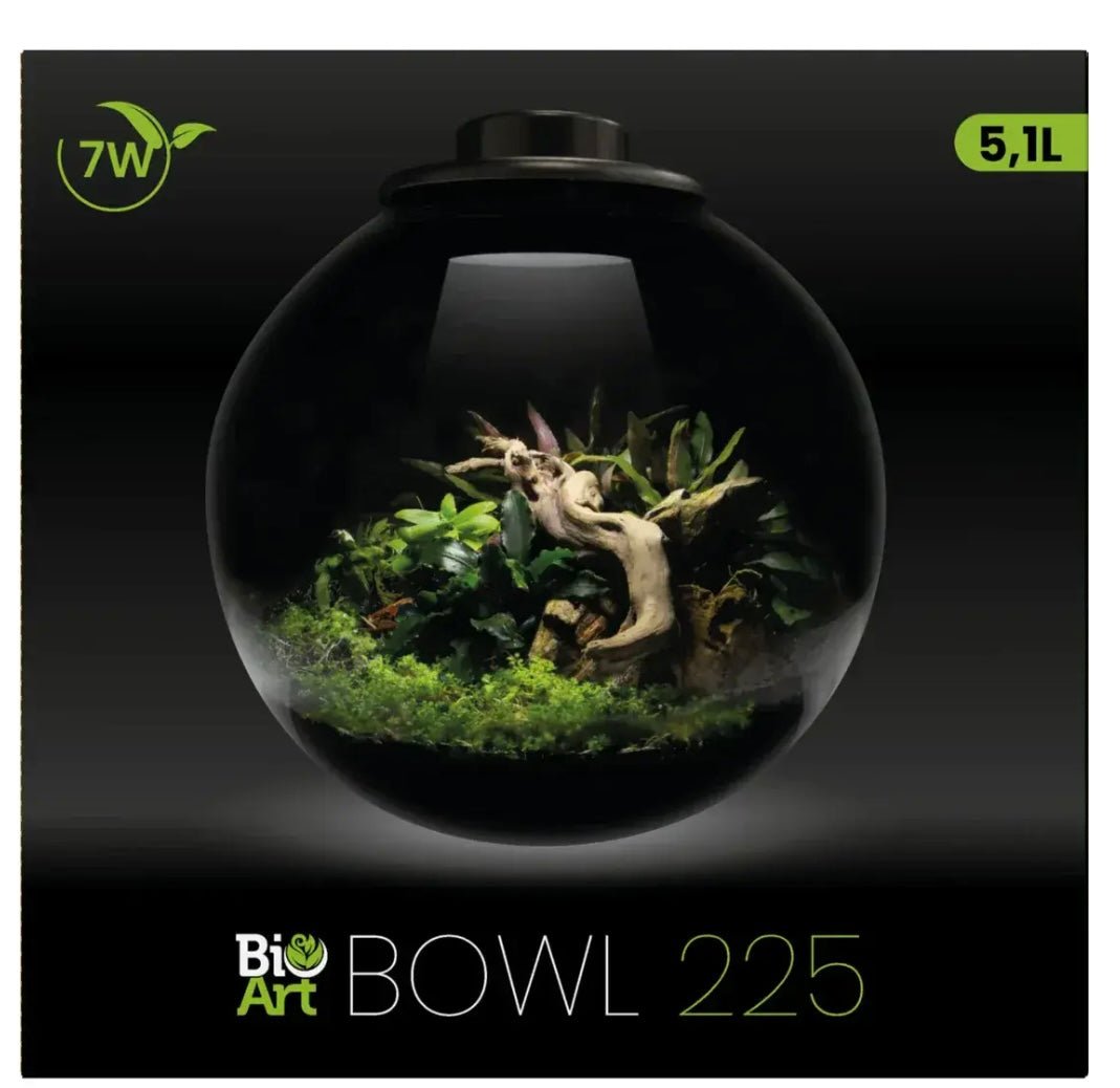 Superfish BioArt Bowl 225 Black - Perfect Aquatics Ltd