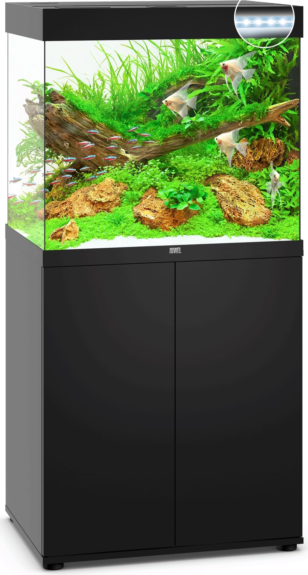 Juwel Lido 200 Tropical Aquarium and Cabinet - Perfect Aquatics Ltd