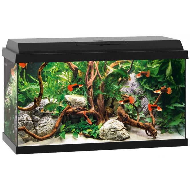 Juwel Primo 60 Aquarium Only - Black - Perfect Aquatics Ltd