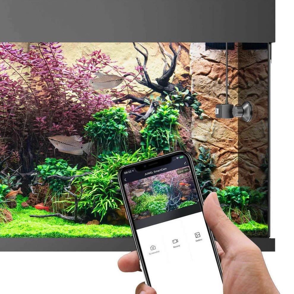 Juwel Smartcam - Perfect Aquatics Ltd