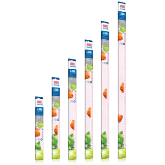 Juwel LED Tubes COLOUR 4425K - Perfect Aquatics Ltd