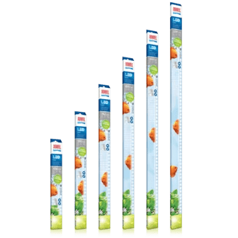 Juwel LED Tubes DAY 9000K - Perfect Aquatics Ltd