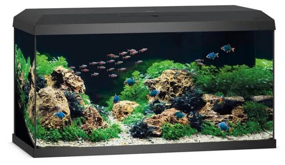Juwel Primo 110 2.0 Aquarium - Perfect Aquatics Ltd