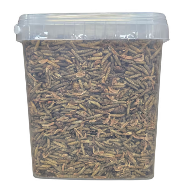 Shark Pond Food - Koi Treat Mix