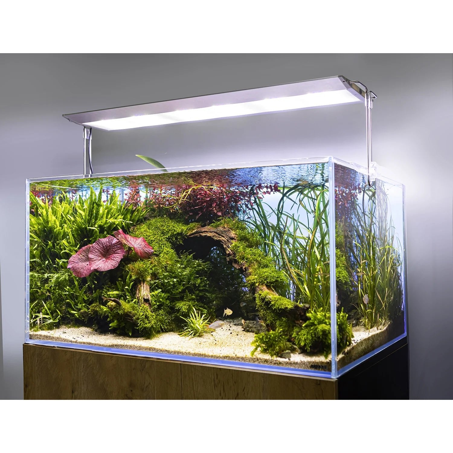 Aquael Ultra Slim BT LED Light - Perfect Aquatics Ltd