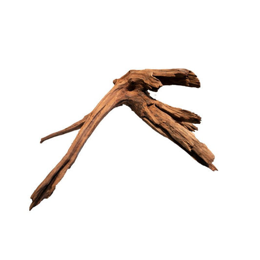 Superfish Mangrove Aged Wood - Per Piece - Perfect Aquatics Ltd