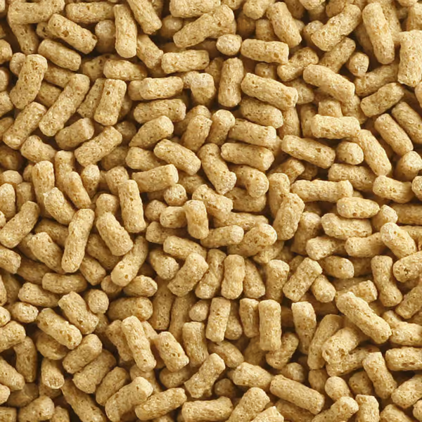 Close-up of Shark Pond Natural Sticks