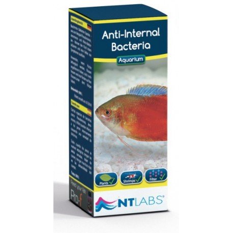NT Labs Anti - Internal Bacteria 100ml - Perfect Aquatics Ltd