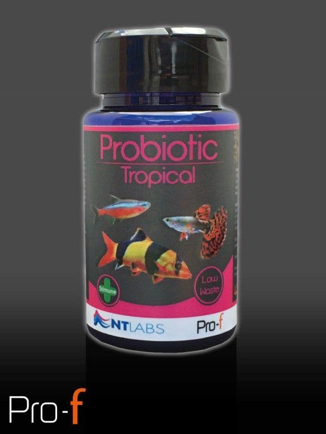 NT Labs Pro - F Probiotic Tropical - Perfect Aquatics Ltd