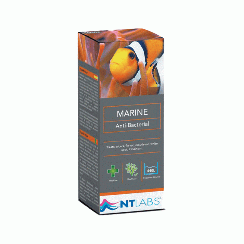 NT Labs Marine Anti - Bacterial - Perfect Aquatics Ltd