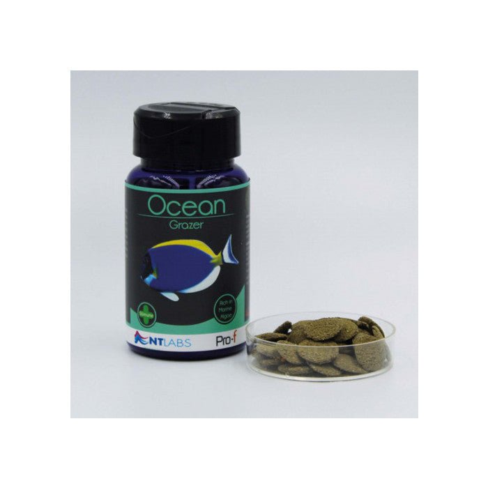 NT Labs Pro - F Ocean Grazer 40g - Perfect Aquatics Ltd