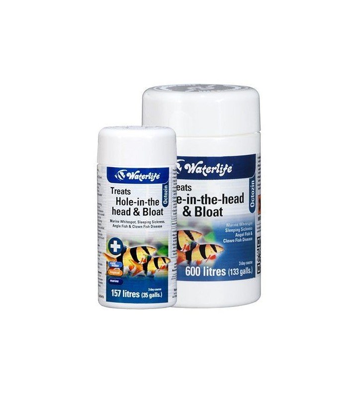 Waterlife Octozin Hole In The Head Treatment - Perfect Aquatics Ltd