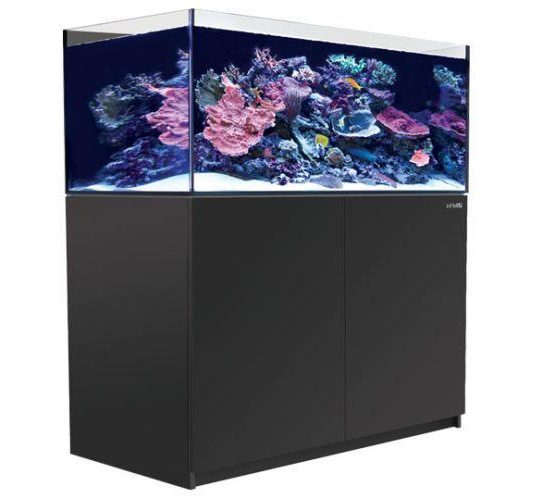Red Sea Reefer 425XL V3 - Black - Perfect Aquatics Ltd