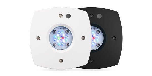 AI Prime 16 HD LED Light - Perfect Aquatics Ltd