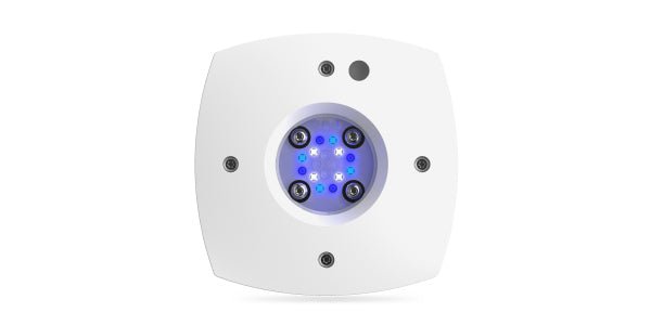 AI Prime 16 Fuge LED light - Perfect Aquatics Ltd