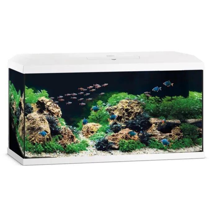 Juwel Primo 110 2.0 Aquarium - Perfect Aquatics Ltd