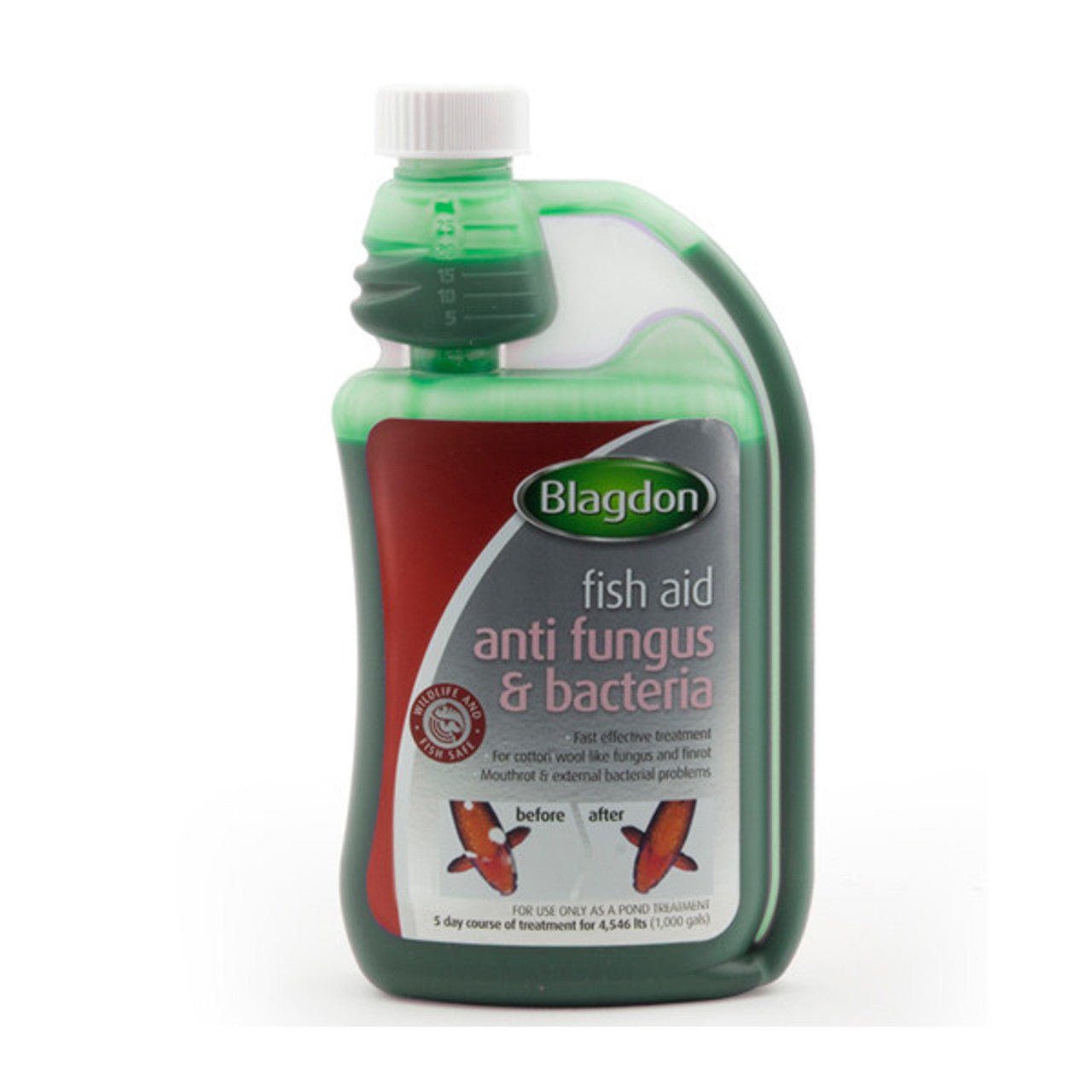 Blagdon Anti Fungus & Bacteria - Perfect Aquatics Ltd