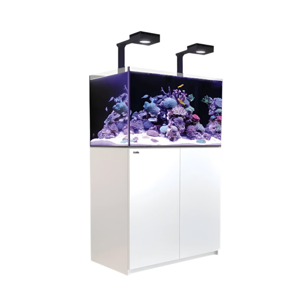 Red Sea Reefer Max G2+ 250 Aquarium - Perfect Aquatics Ltd