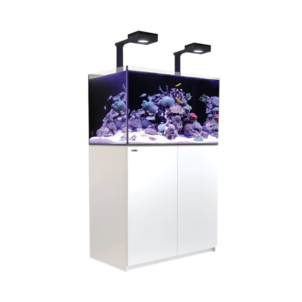 Red Sea Reefer Max G2+ XL 300 Aquarium - Perfect Aquatics Ltd