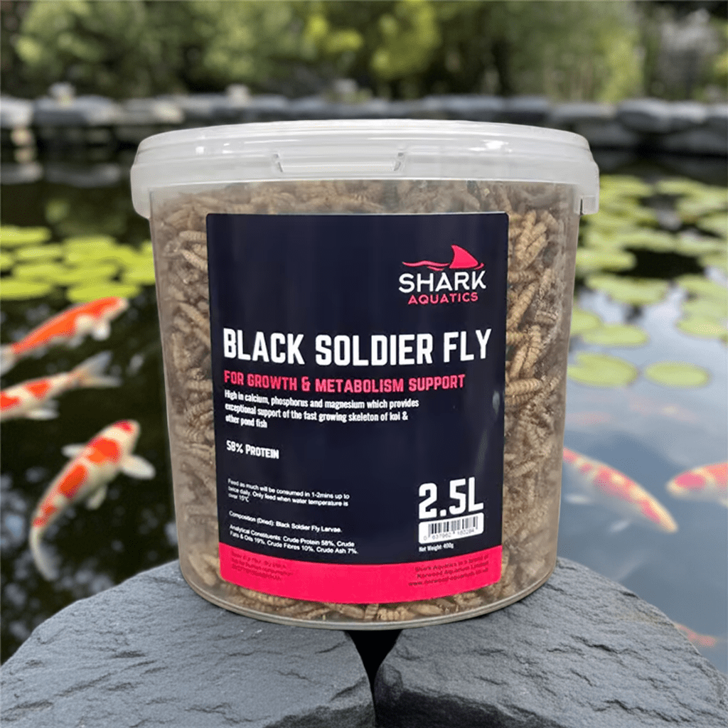 Shark Pond Food - Soldier Fly Larvae - Perfect Aquatics Ltd