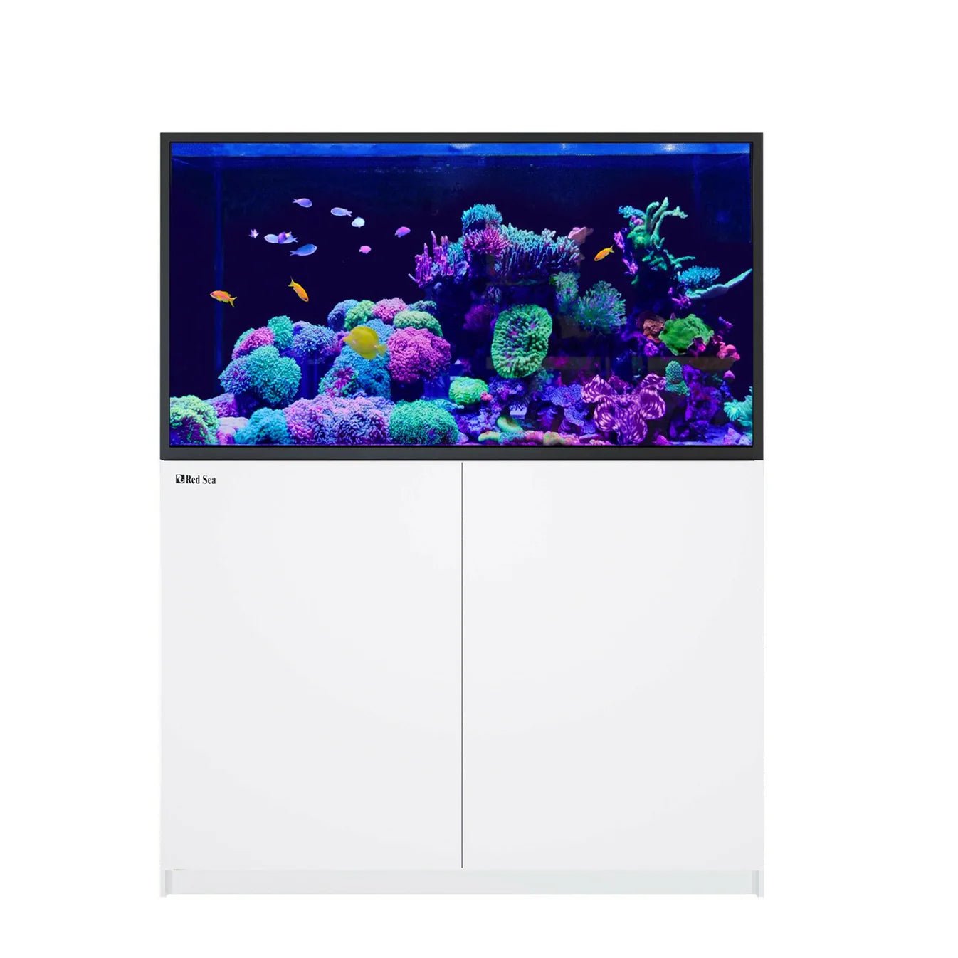 Red Sea Reefer - S 550 G3 Aquarium - Perfect Aquatics Ltd