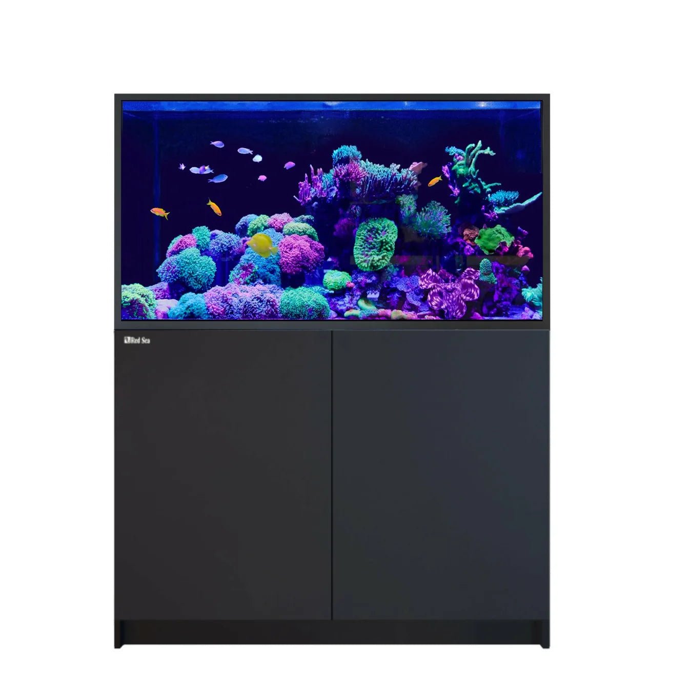 Red Sea Reefer - S 550 G3 Aquarium - Perfect Aquatics Ltd