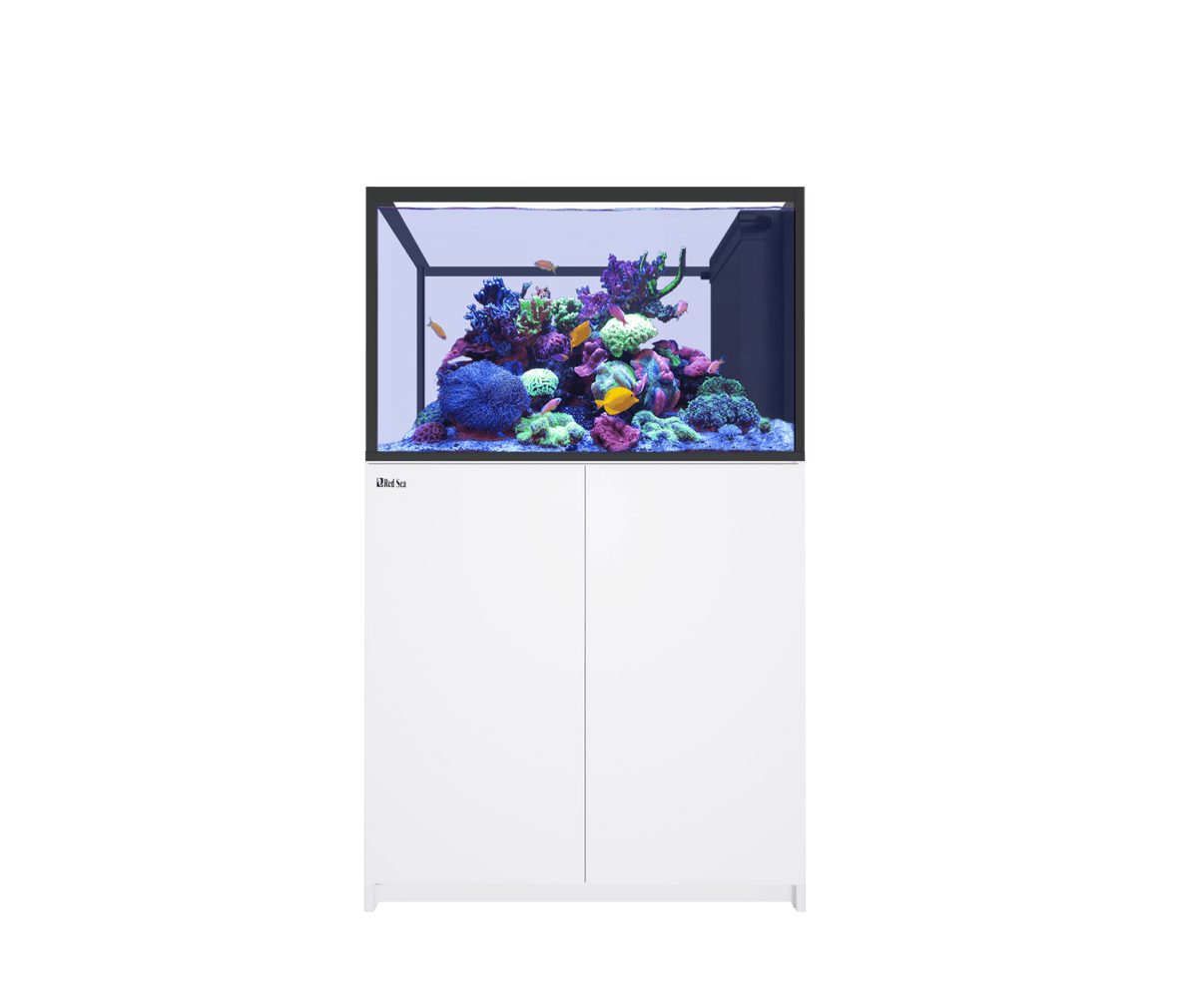 Red Sea REEFER MAX Peninsula 350 G3+ Aquarium - Perfect Aquatics Ltd