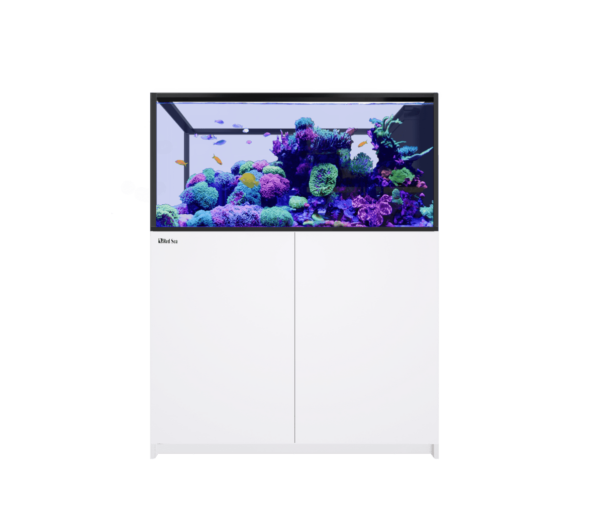Red Sea REEFER MAX Peninsula 500 G3+ Aquarium - Perfect Aquatics Ltd